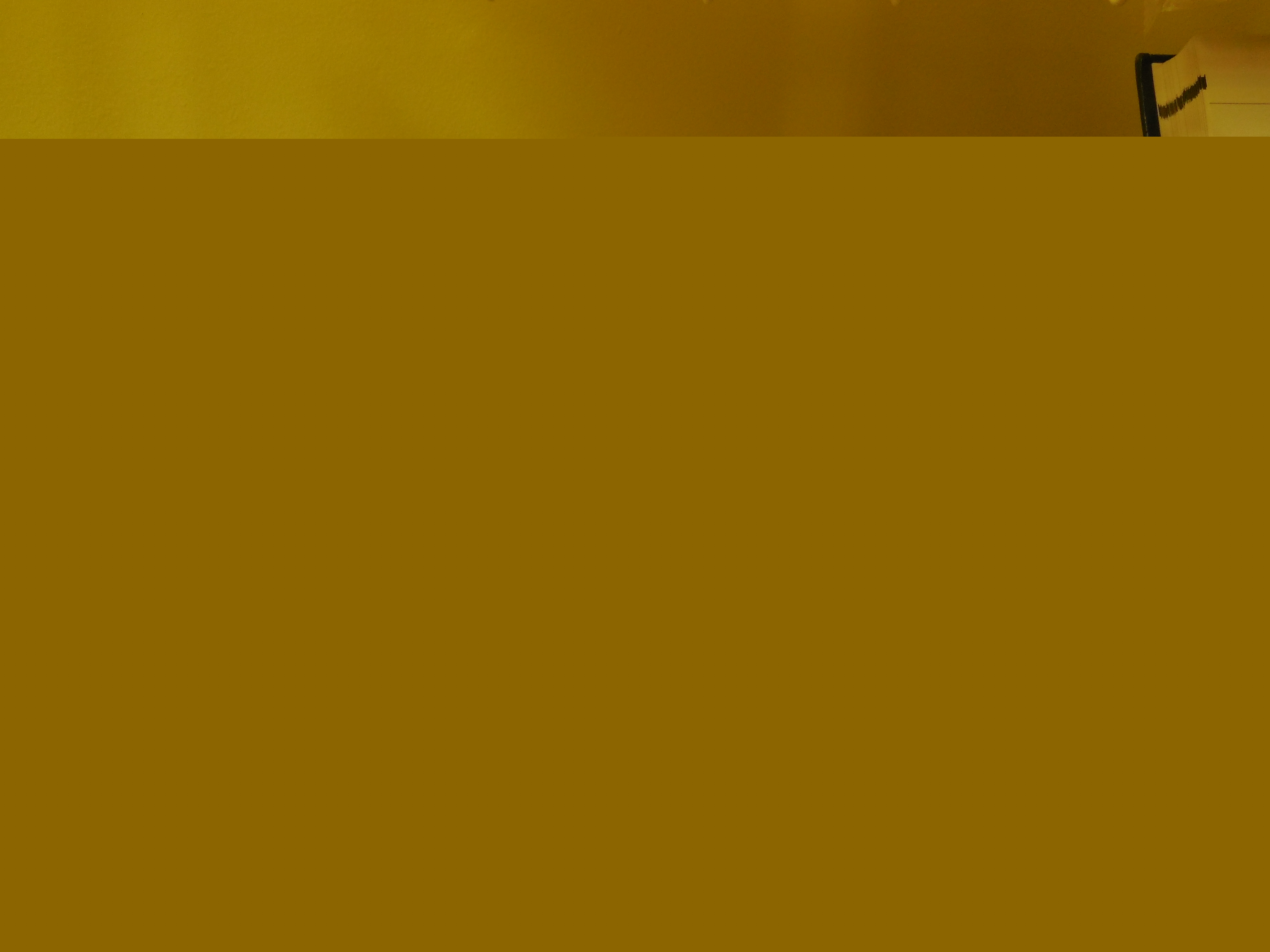 3DSCN1352